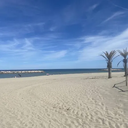 Apartman 2 Pieces, Acces Plage, Parking Prive, - Fr-1-782-79 Le Barcarès
